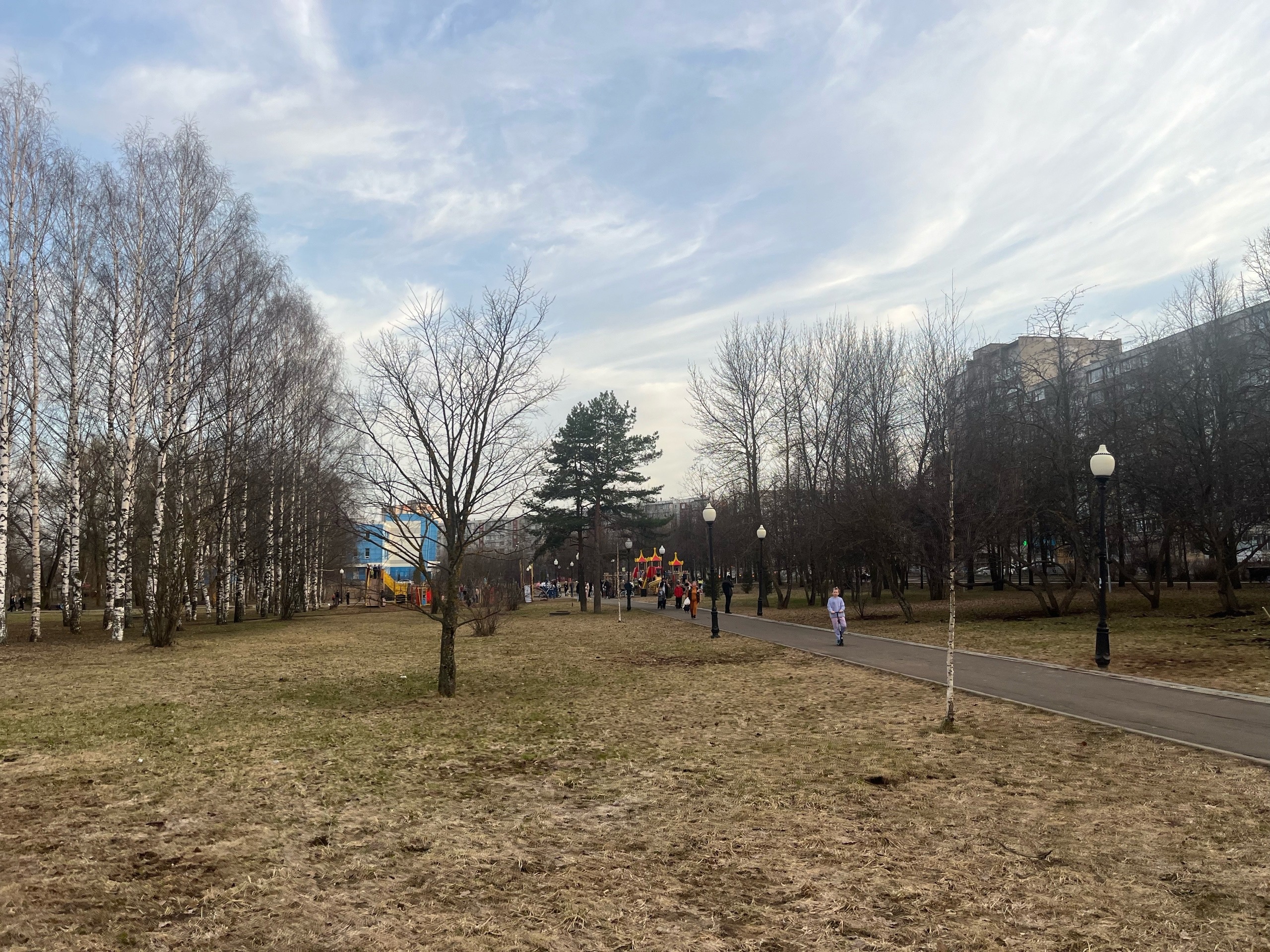Кировчане ежедневно рискуют здоровьем, прогуливаясь в Кочуровском парке