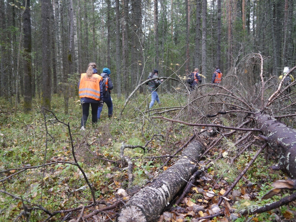 В лесах Кировской области более суток искали 85-летнюю пенсионерку