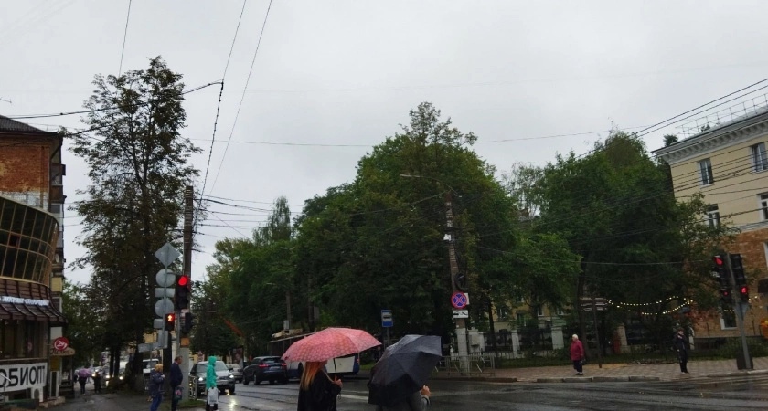 Первая рабочая неделя лета принесет в Киров серию гроз и дождей