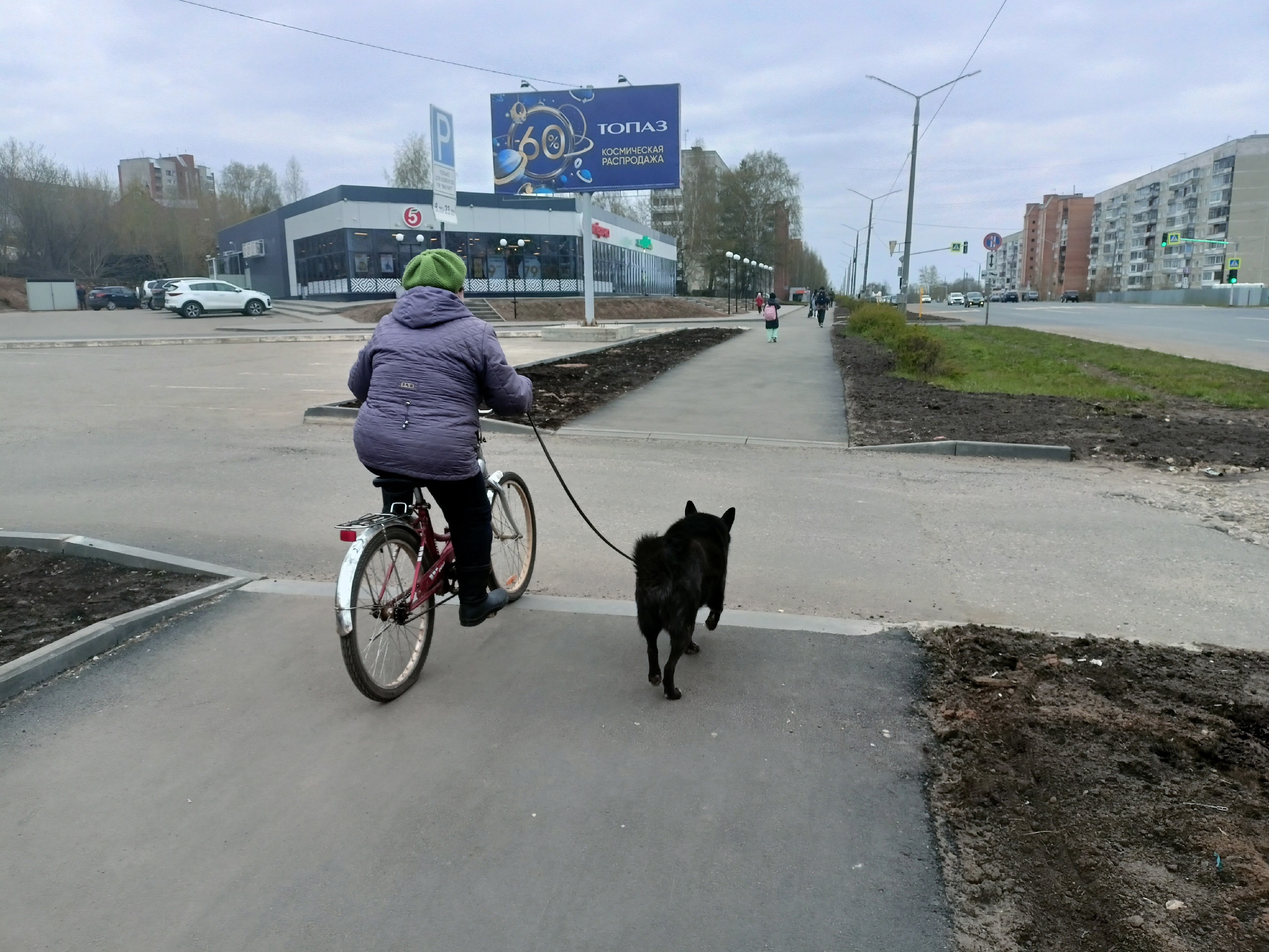 В Кировской области агрессивные собаки покусали 15 человек за 10 дней