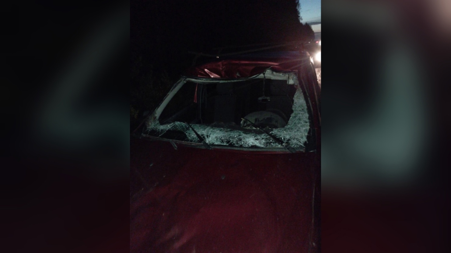 В Оричевском районе водитель Renault Logan получил травмы в столкновении с лосем