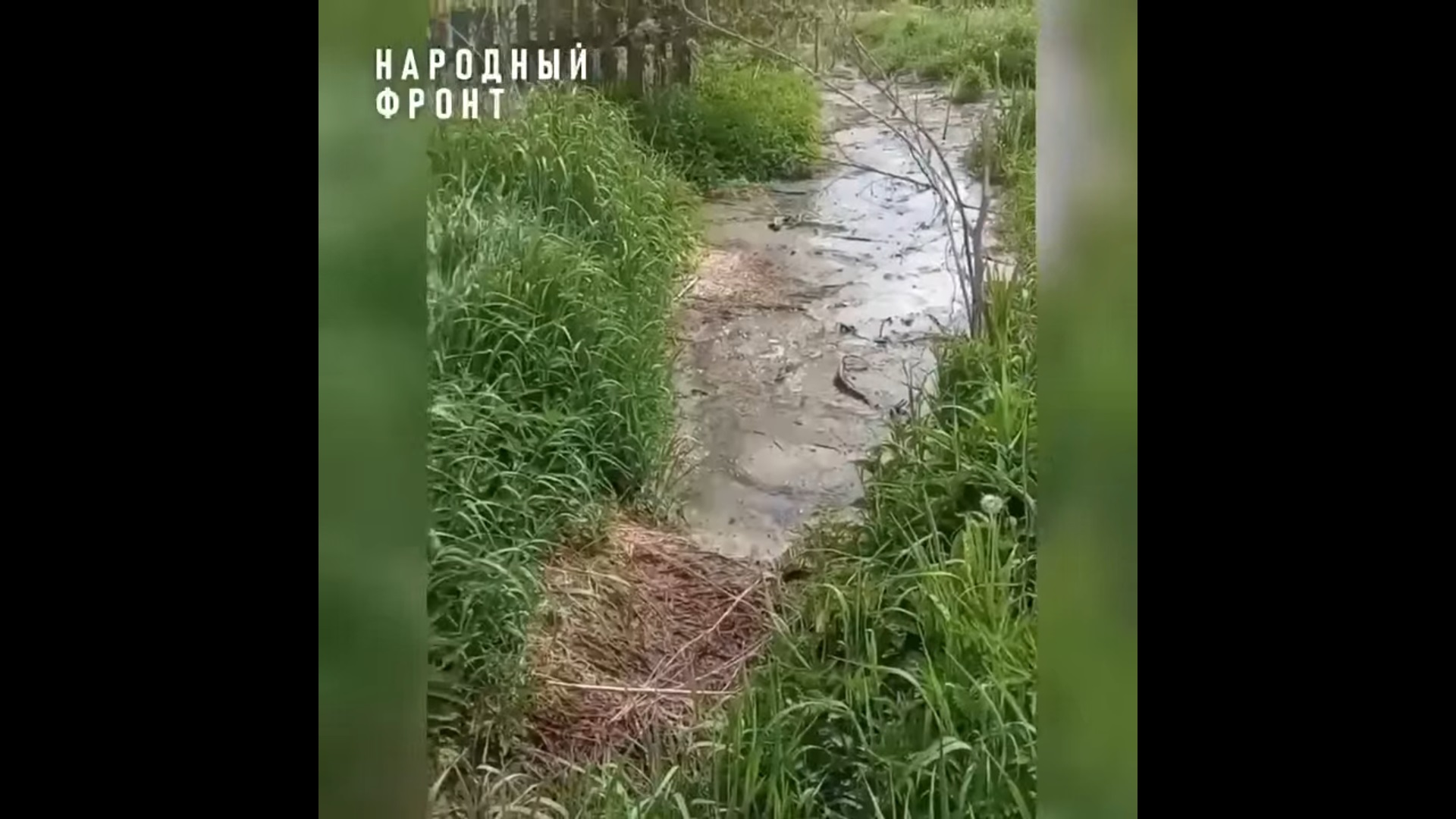 Жители Кировской области вынуждены терпеть фекальный "ручей" и страдать от нашествия насекомых