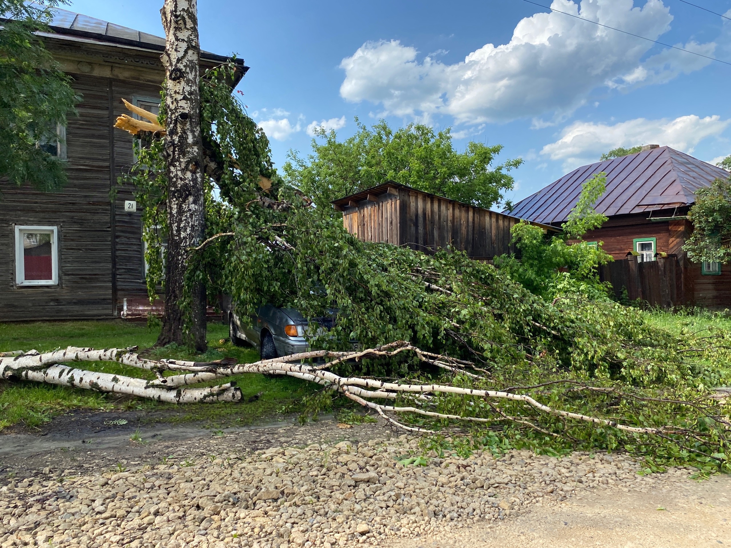 В Кировской области ветер повалил деревья на дороги и дома