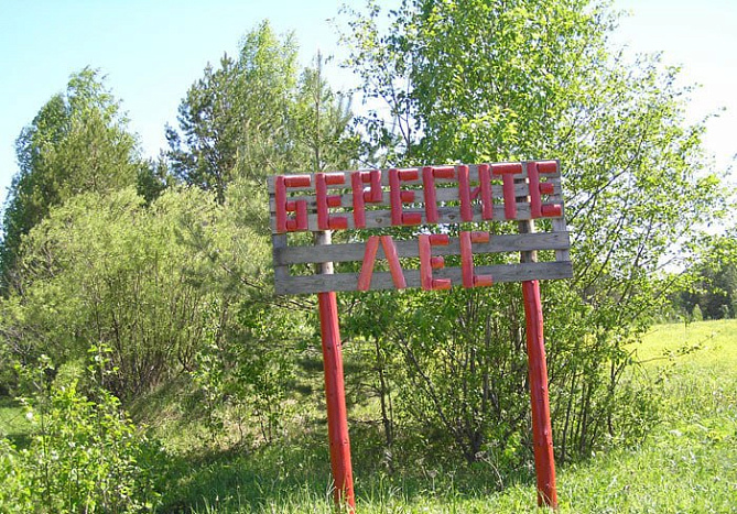 В Кировской области ожидается чрезвычайная пожароопасность лесов и торфяников
