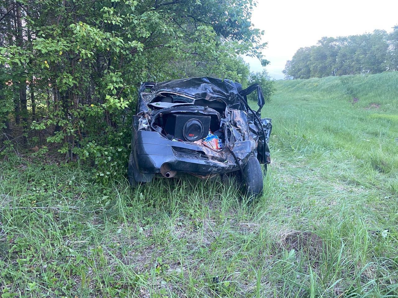 В Малмыжском районе 23-летний водитель разбился насмерть, вылетев с дороги