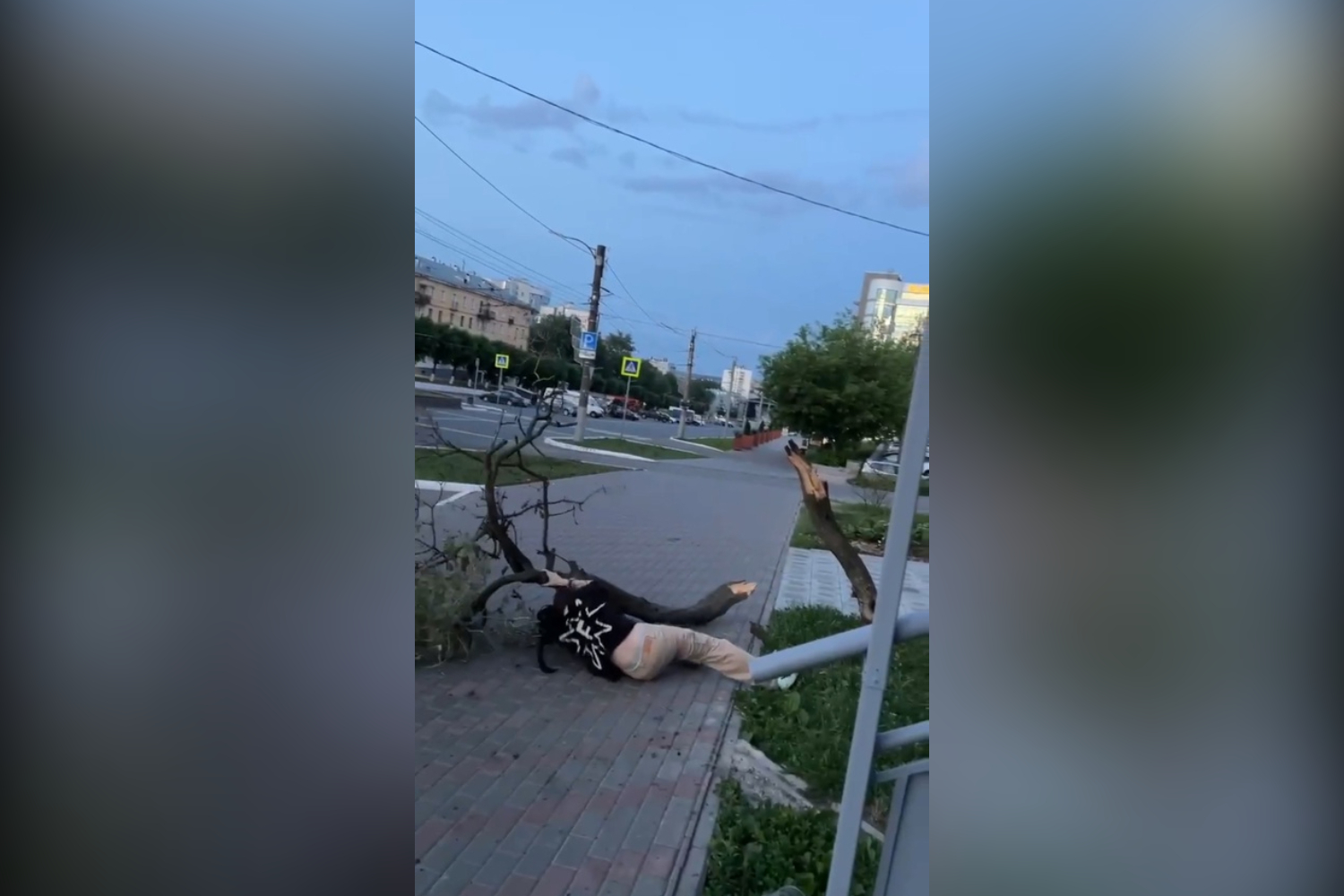 В Кирове молодые люди сломали дерево на Октябрьском проспекте и скрылись
