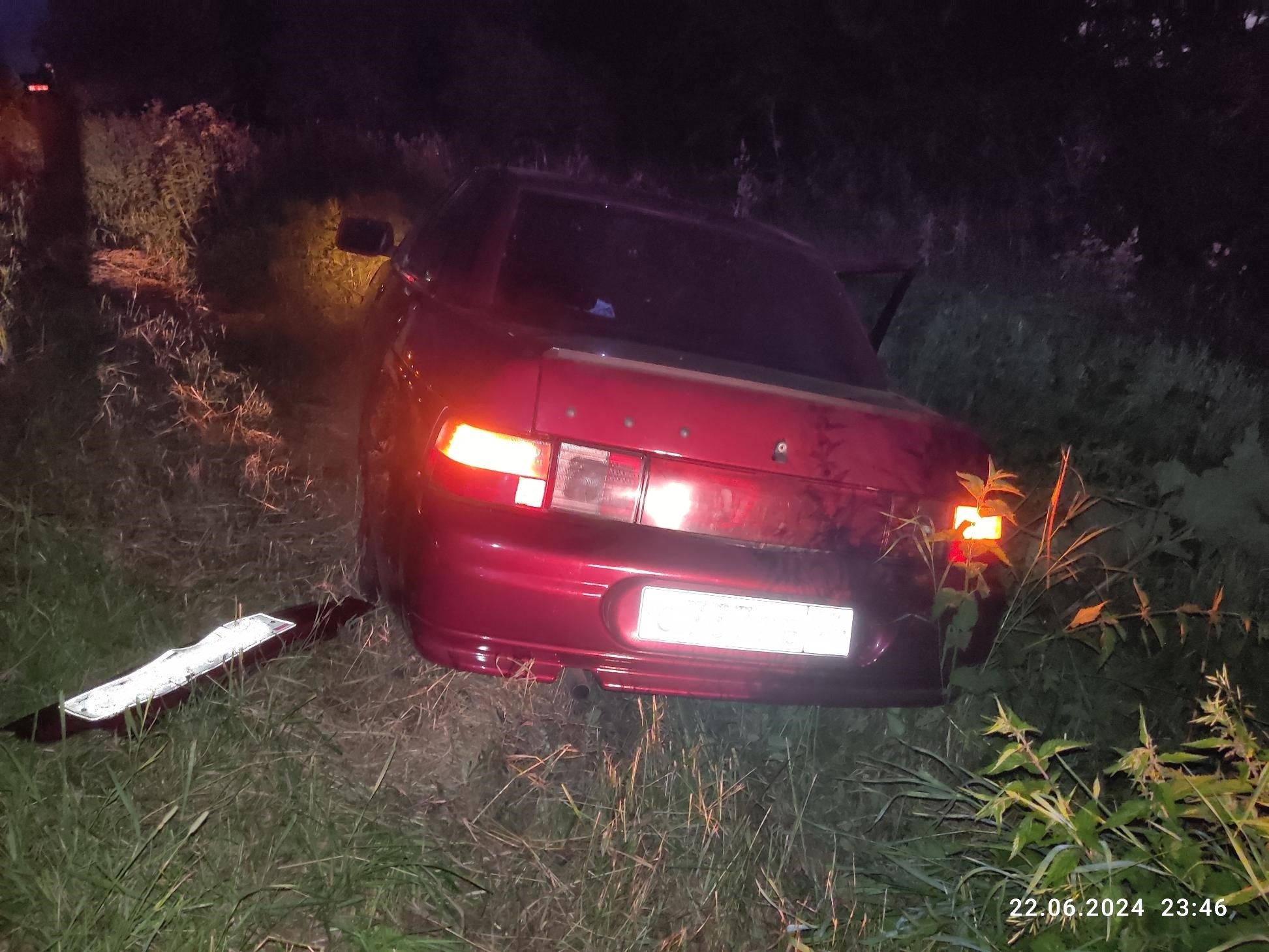 В Кирове водитель "десятки" сбил лося на трассе: пострадала девушка