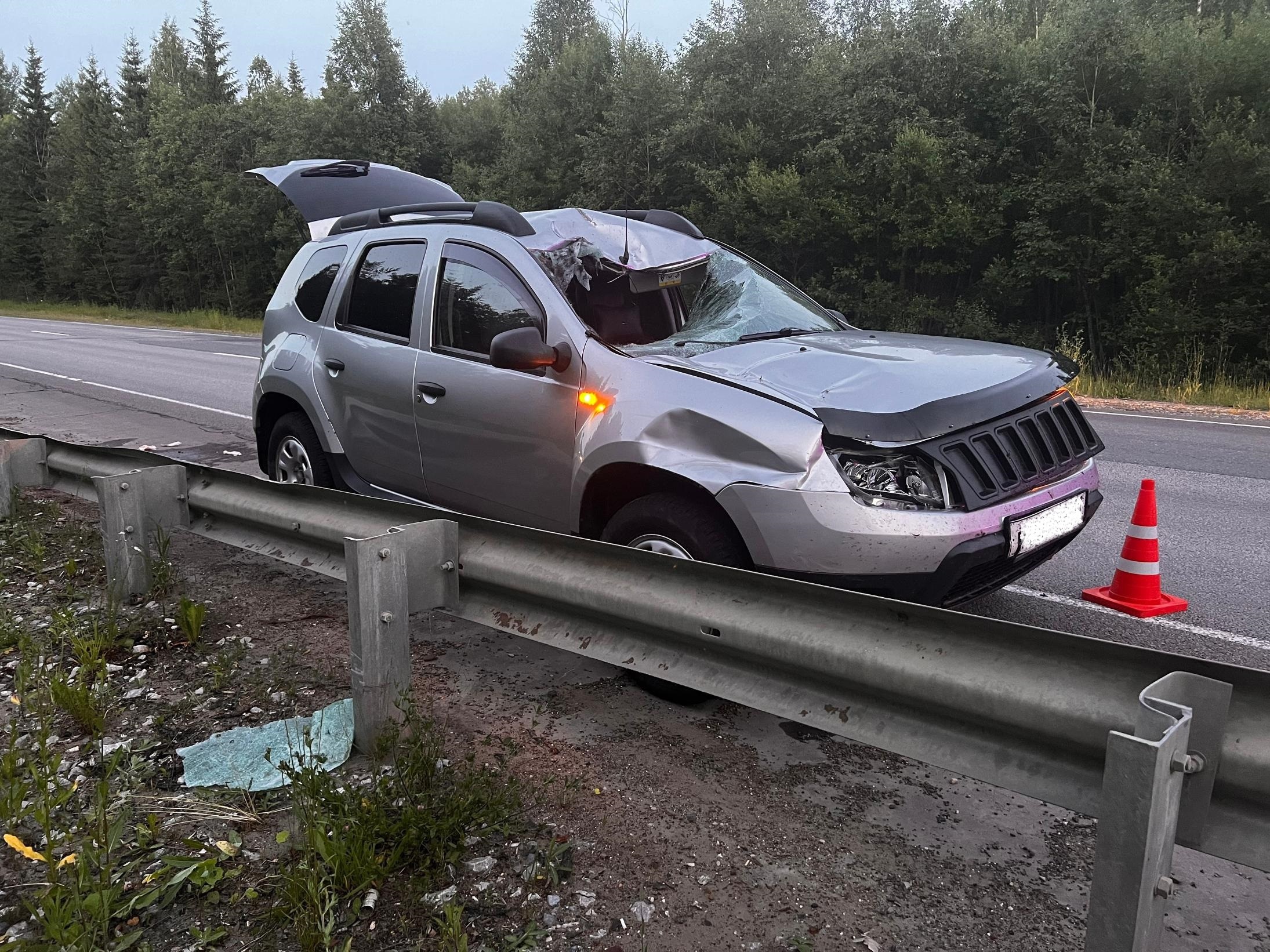 В Мурашинском районе выбежавший под колеса лось проломил лобовое стекло машины