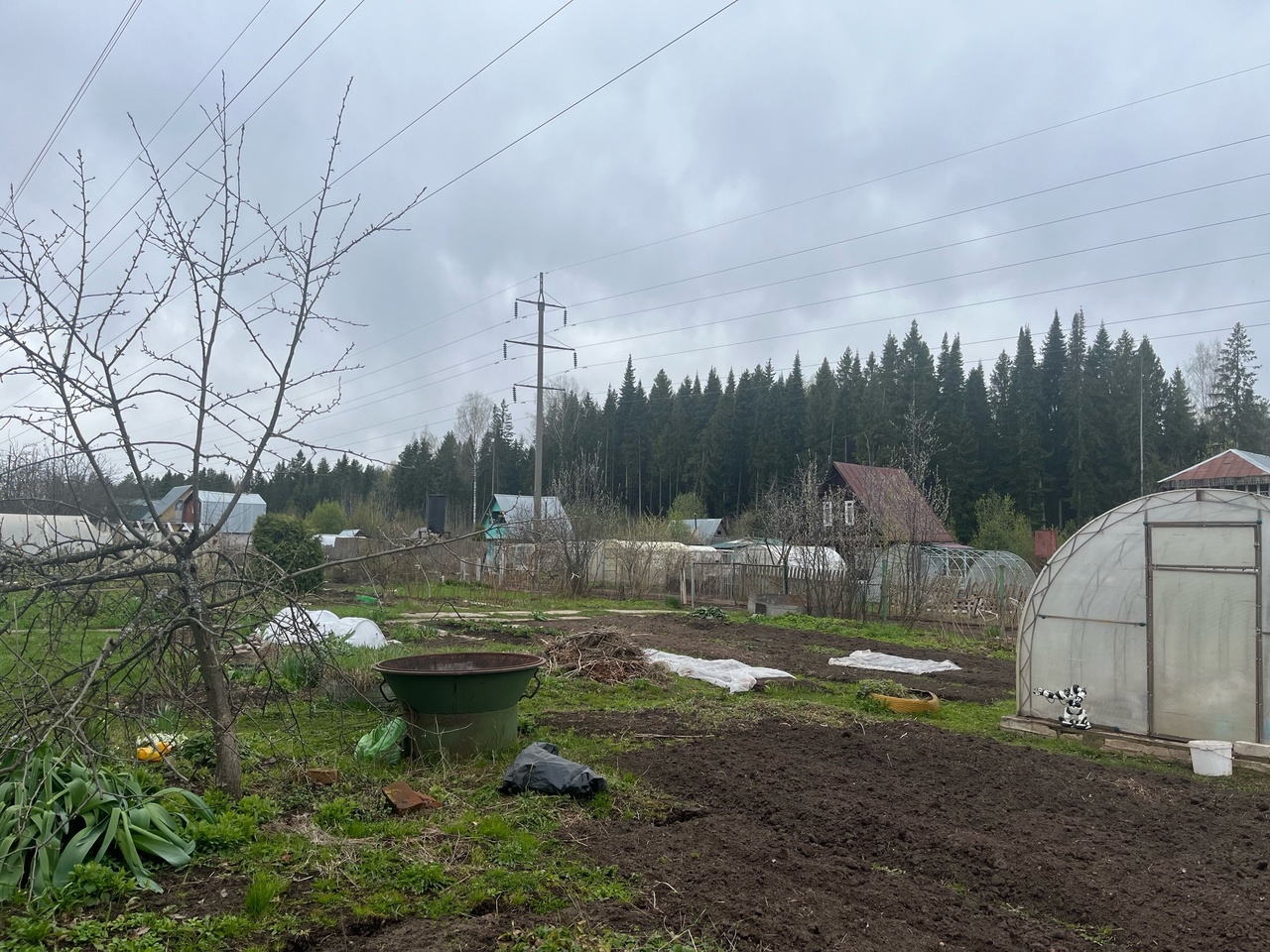 Сорняки завянут все разом: разведите это стакан на ведро и полейте вечером