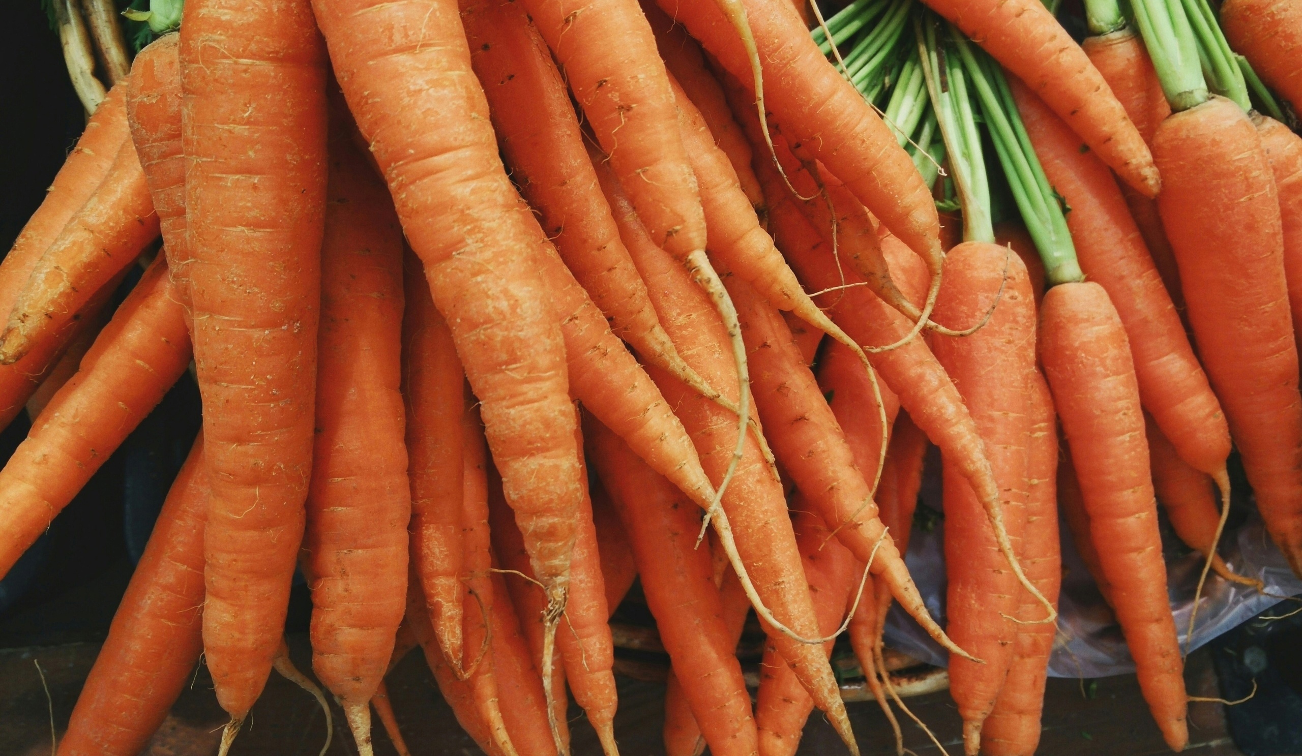 Морковь сразу пойдет в рост: в июле полейте грядку таким раствором — первый шаг к хорошему урожаю