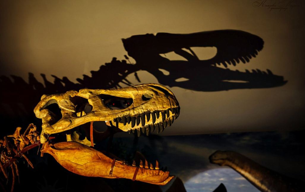 В Кирове откроется выставка ящеров пермского периода, которые существовали до динозавров
