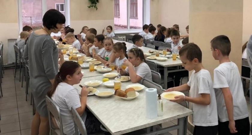 В Кировской области школьники с инвалидностью получат бесплатное питание