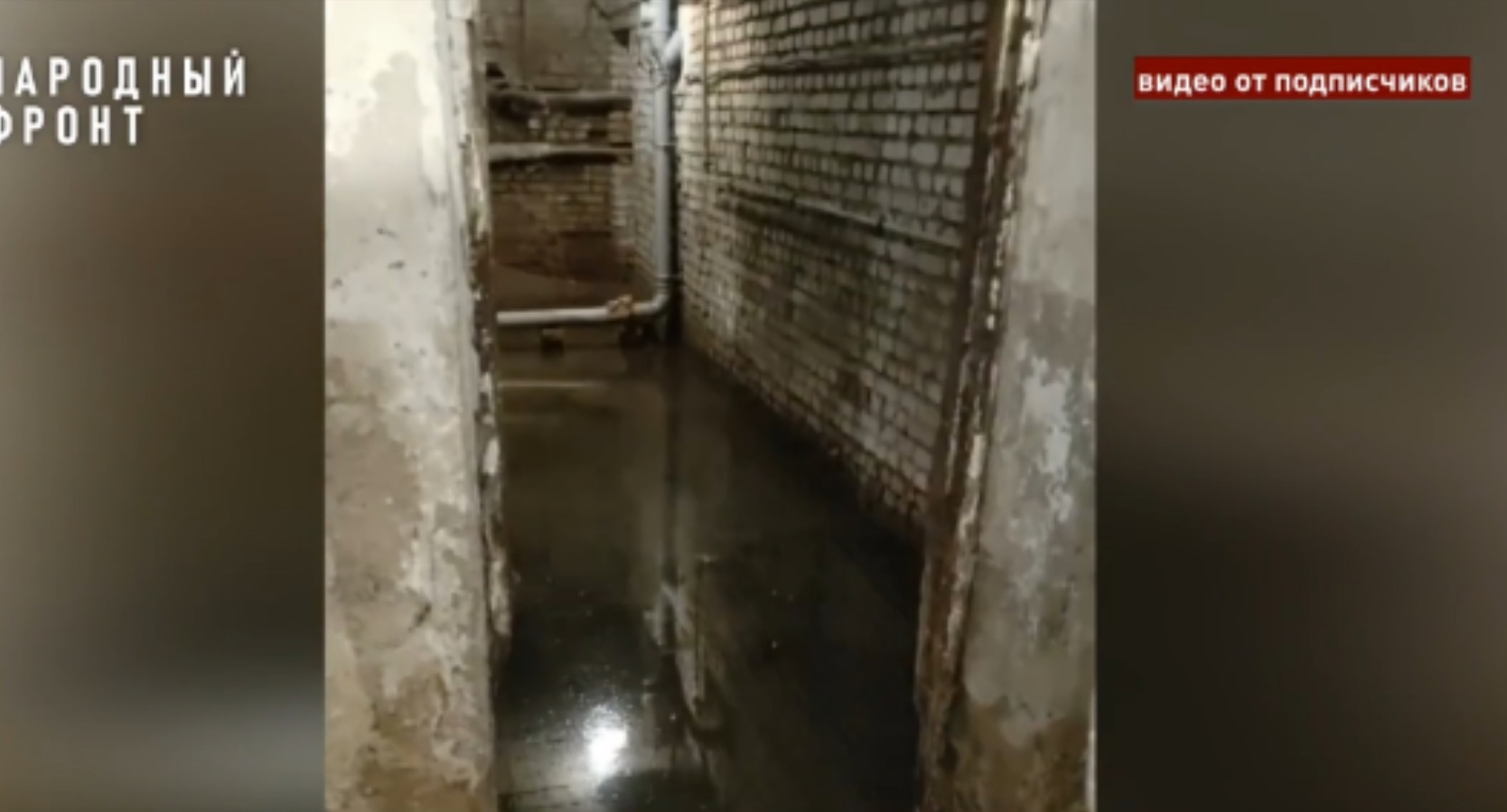 Кировчане жалуются на подвальный грязевой "курорт" с полчищами мух