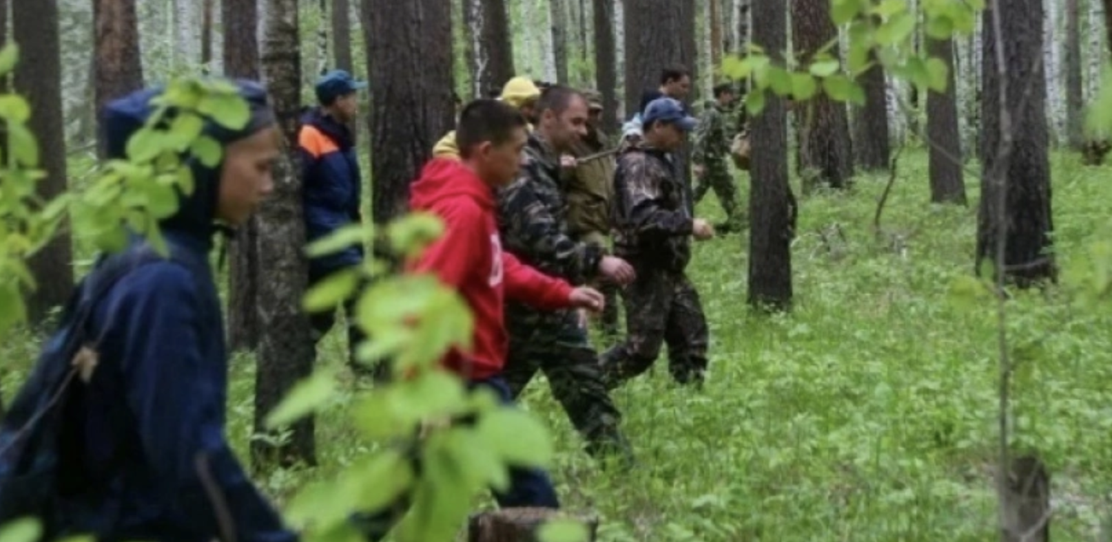 Полицейские нашли пропавшего 75-летнего грибника из Санчурска