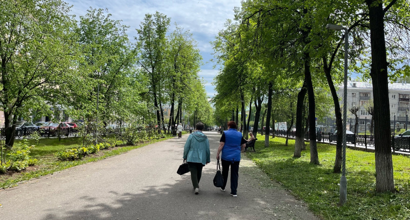 "С понедельника будет бесплатно для любого пенсионера". Новая льгота вводится с 19 августа