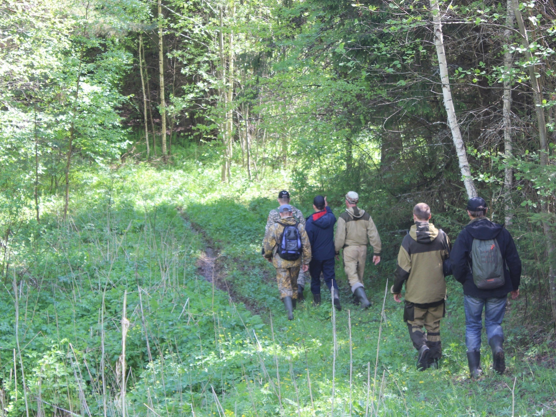 Под Кировом нашли заблудившегося пожилого мужчину