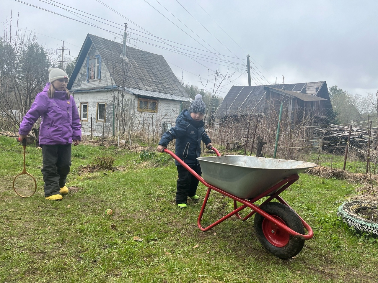 Лучше тонны навоза: посыпьте землю этим продуктом из кухни, и вас ждет богатый урожай