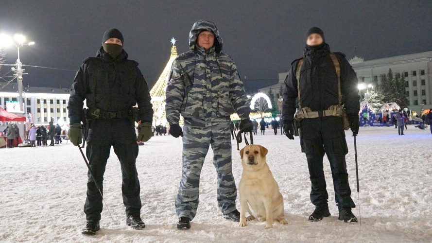 В новогоднюю ночь за безопасностью кировчан следил четвероногий сотрудник Арчи 