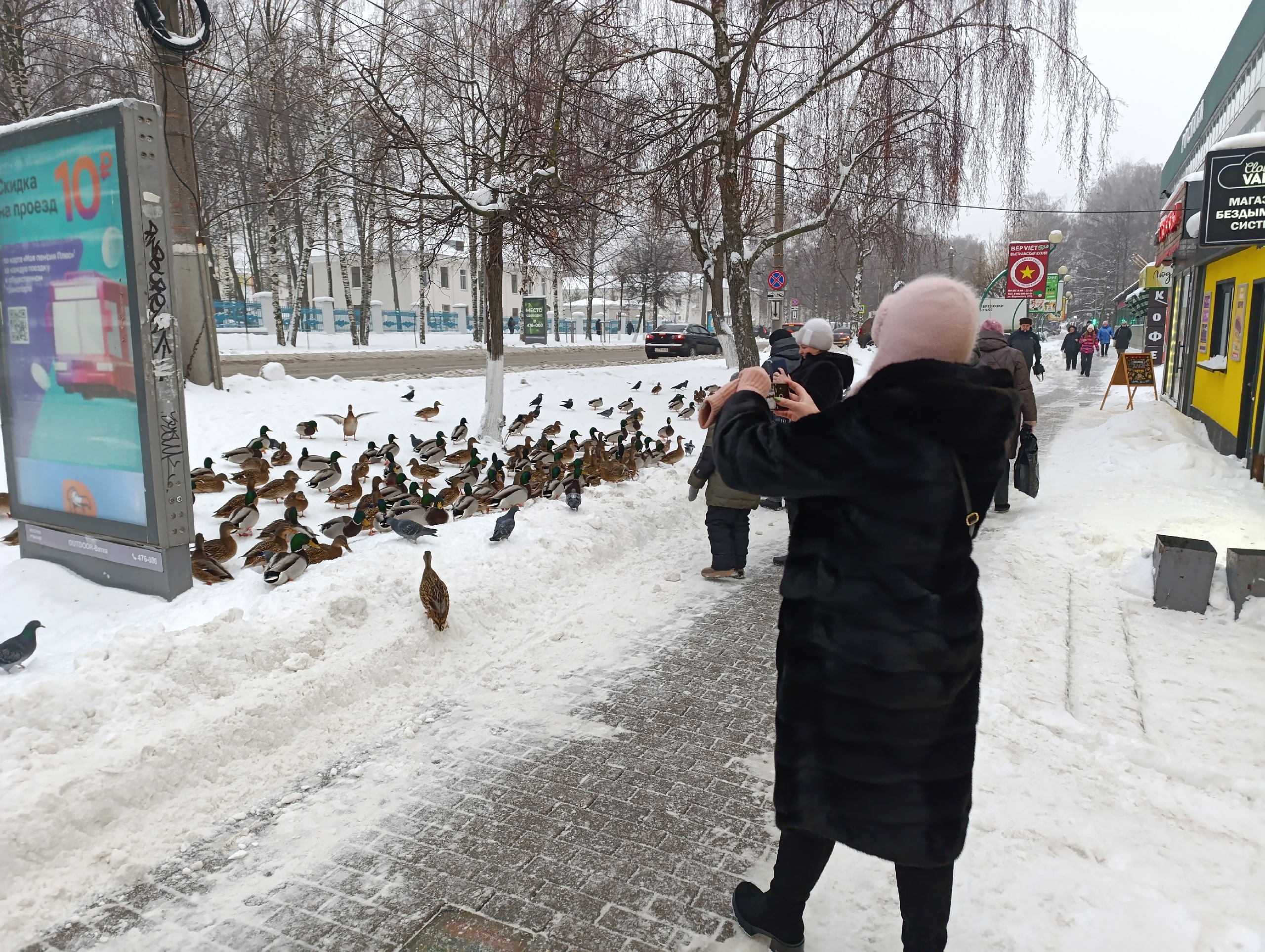 Для них откроется белоснежная полоса: Василиса Володина прогнозирует удачу трем знакам в январе 2025 года