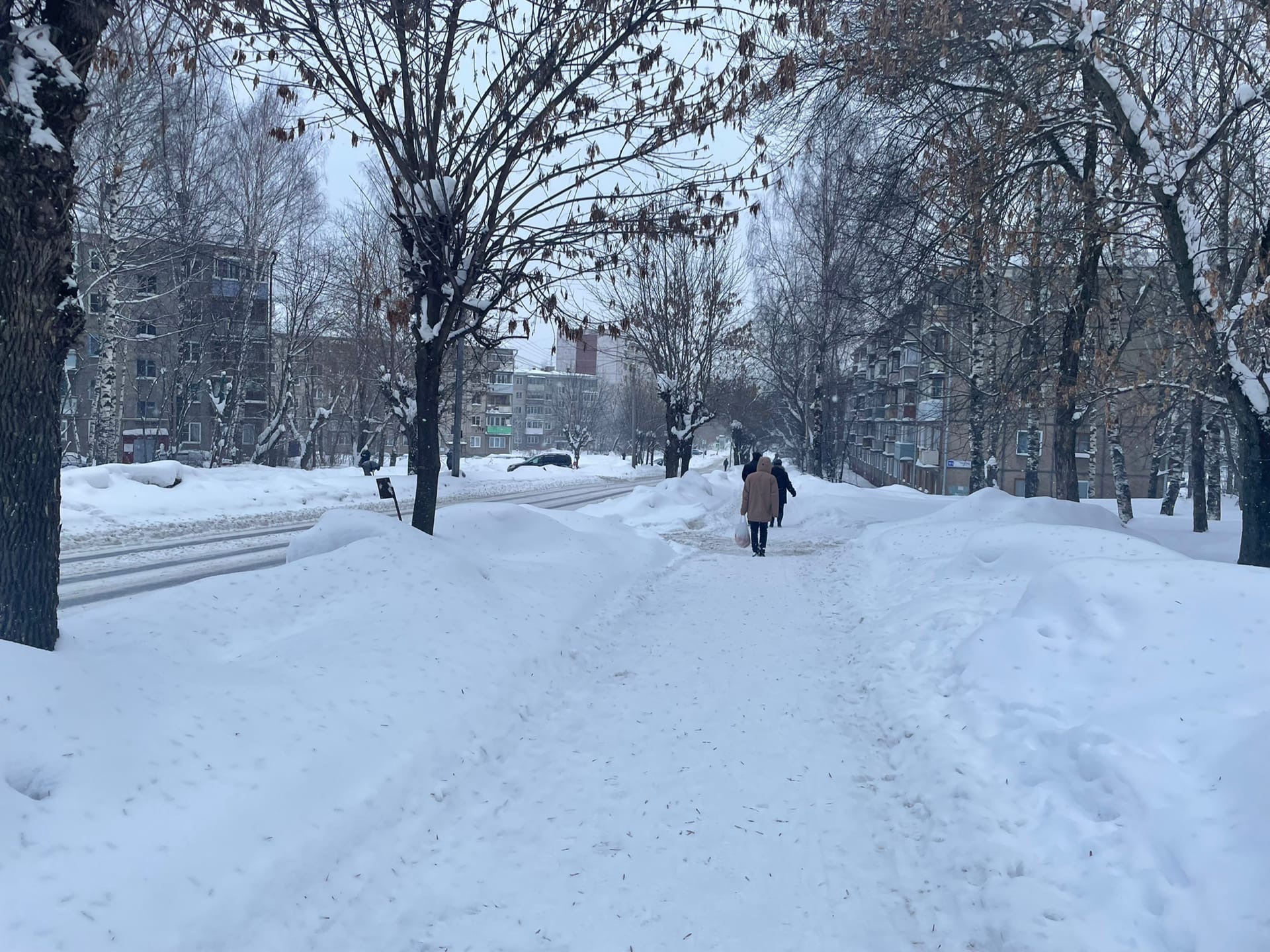 Зима вернется в Киров: какой будет погода в городе 3-5 февраля