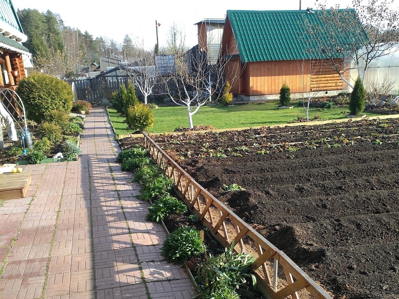 Перед посадкой картофеля - обязательно: обрабатываем от вредителей - и урожай можно на конкурс красоты отправлять