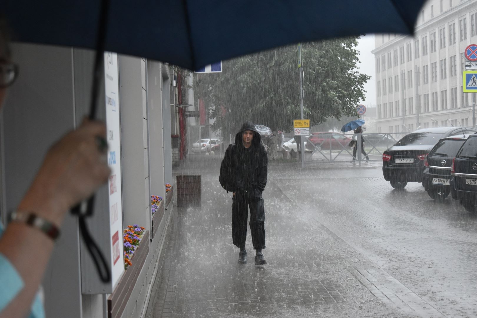 Метеопредупреждение: в Кировской области пройдут ливни и грозы 