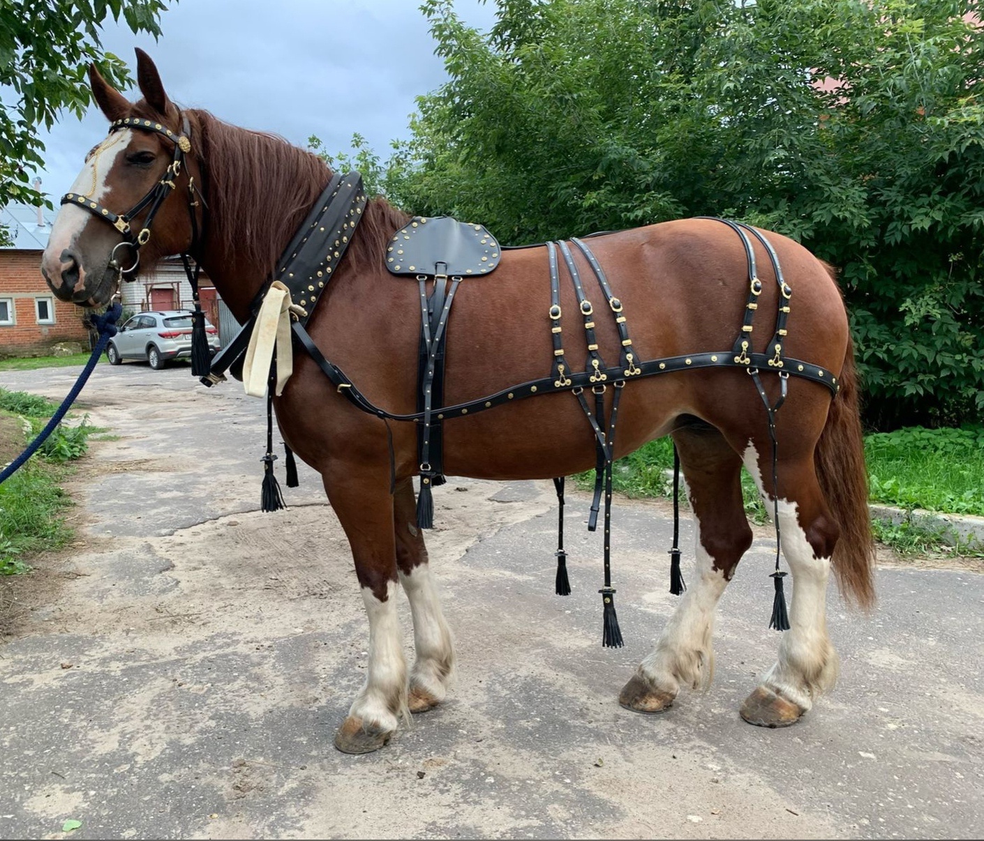 Кировская прокуратура наказала главу компании, производящей амуницию для лошадей