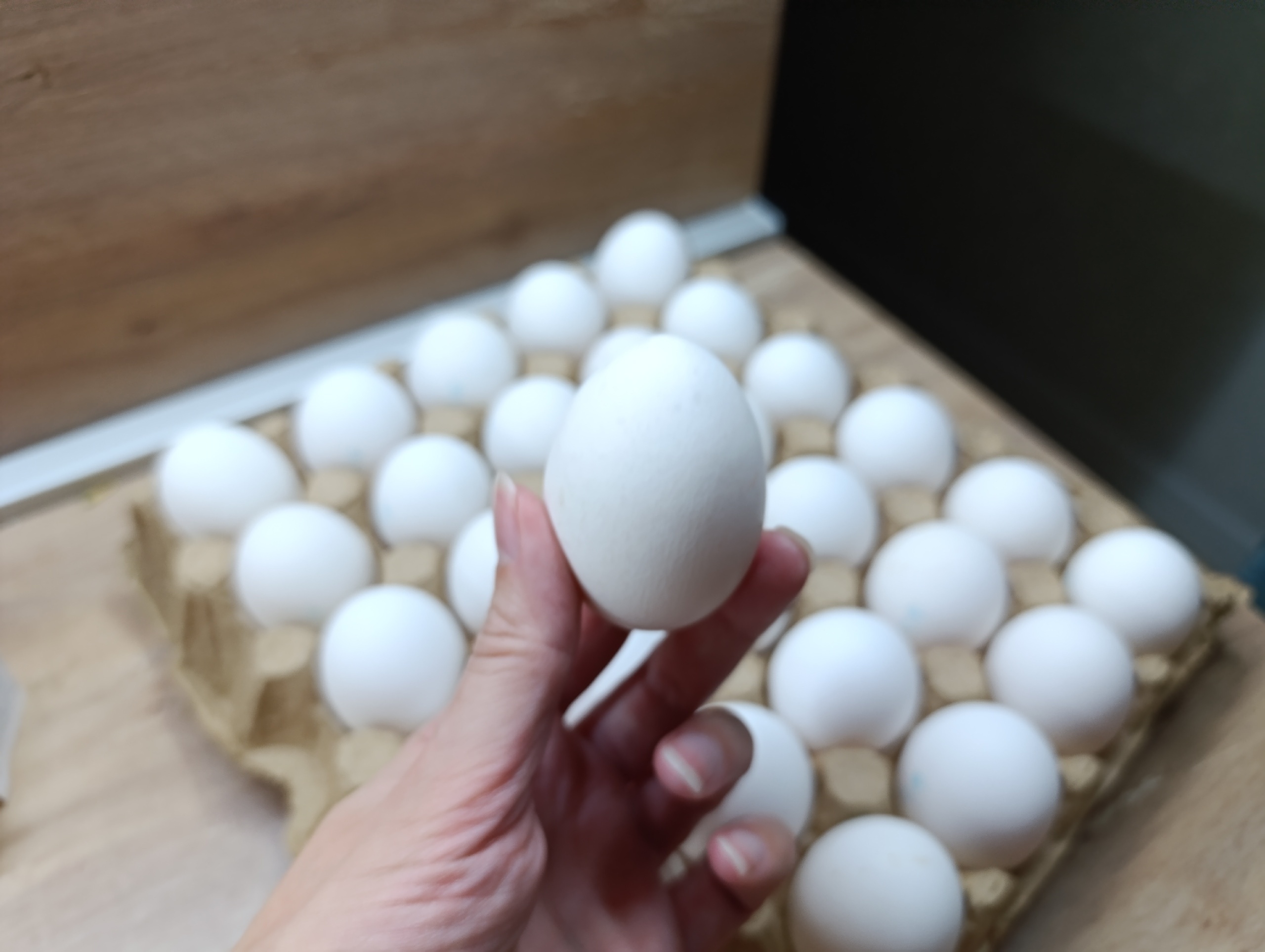 Хитрые продавцы выбирают яйца себе домой только так: запоминайте 2 лайфхака
