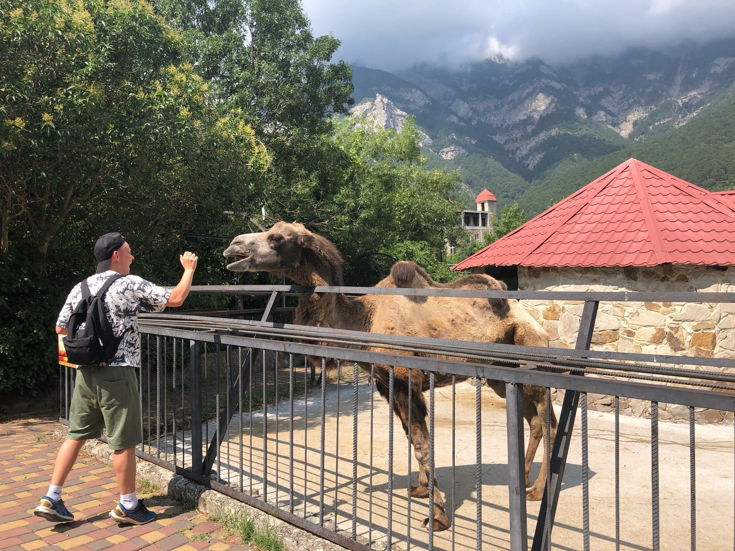 Там дешевле чем в Краснодарском крае и любят русских: на этот золотой курорт полечу в ноябре