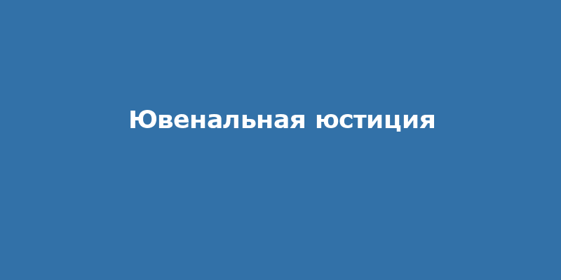 Ювенальная юстиция: шашечки или ехать